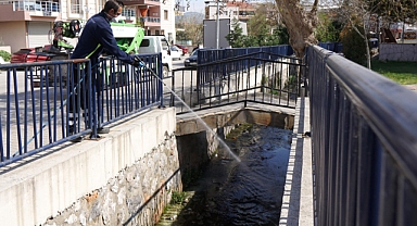 Bahar geldi, Kemalpaşa'da ilaçlama hız kazandı!