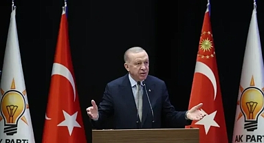 Muhalefete 'sokak köpeği' tepkisi: Tıpış tıpış uygulayacaklar!