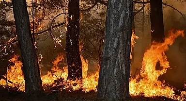 2 günde çıkan 111 yangından 106'sı kontrol altına alındı