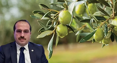 AK Partili Kırkpınar tartışmalı yasa için konuştu: Biz de yeşilciyiz, ormancıyız!