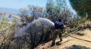 Büyükşehir'den yangın raporu: 2 günde 227 müdahale!