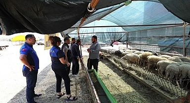 Menderes'te kurban denetimi