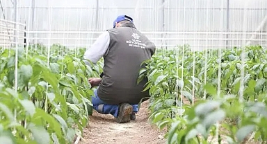 Aydın Büyükşehir’den tarım ve üreticilere destek!