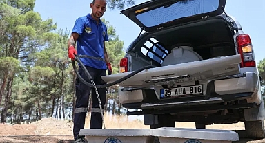 Buca Belediyesi can dostları unutmadı!