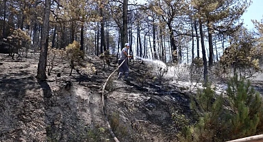 Eskişehir'de başlayıp, Afyonkarahisar'a sıçramıştı: Yangın kontrol altında