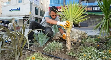 Gaziemir’de kuraklığa karşı yeşil dönüşüm