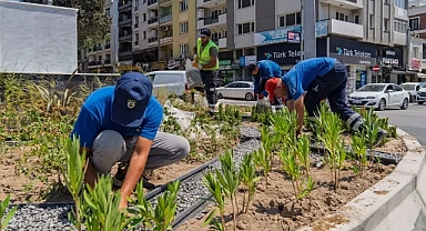 İzmir'de kuraklığa yeşil formül!