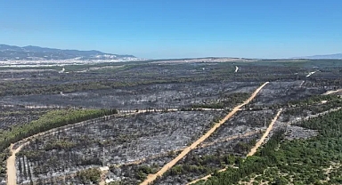 İzmir’in acı raporu: 26 bin 260 hektar kül oldu