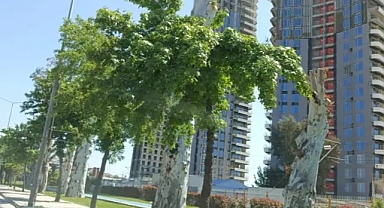 İzmir’in Kalbindeki Dev Proje: Trafik Sorununa Yeni Bir Yük mü?