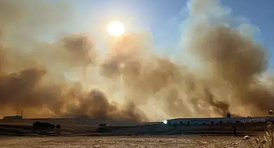 Manisa’daki yangın kontrol altında!