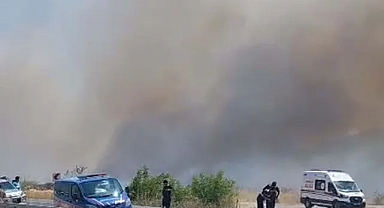 Muğla'da tarım arazisinde yangın