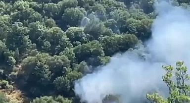 Nazilli'de orman yangını 2 saatte kontrol altına alındı