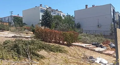 Park ve yeşil alana ticari faaliyet girişimi izni verilmiş: Ağaçlara ihanet