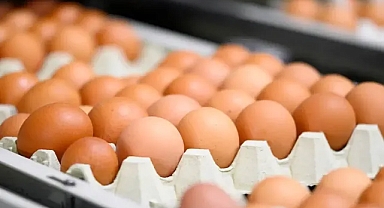 Resmi Gazete'de yayımlandı... Yumurta satışında yeni dönem!