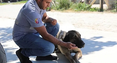 Selçuk’ta “Satın Alma Sahiplen” çağrısı!