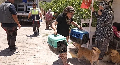 Yangından kurtarılan can dostlarına kavuştu!