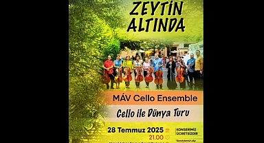 Zeytin Altında konserleri MAV Cello Ensemble ile başlıyor