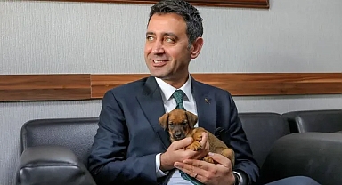 Bayraklı'da yüzlerce can dost yuvalarına kavuştu