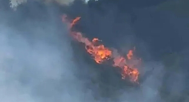 Soma’da orman yangını