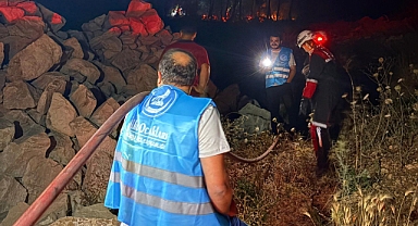 Yeşil Vatanımıza Sahip Çıkıyoruz 